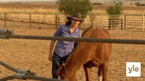 Härkää sarvista (S): 12.01.2021 06.00