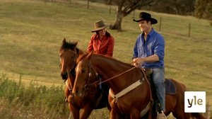 Merkkejä rakkaudesta (S): 12.01.2021 10.00