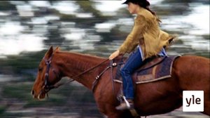 Oikotie (7): 12.01.2021 15.00