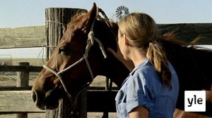 Lahjahevonen (7): 12.01.2021 15.00