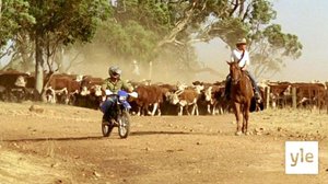 Varjojen laakso (7): 12.01.2021 15.00