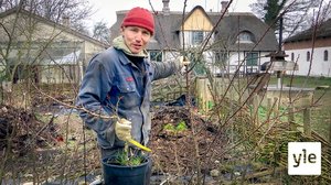 13-metrinen betonimurskain ja kaksi karitsaa: 14.01.2021 19.00
