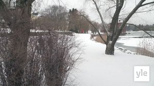 Juhat luonnossa:Lumi ja eläimet: 11.01.2021 12.40