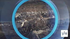 Oddasat: 11.01.2021 22.00