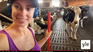 Keisalan tila esittelee maatilan arkea somessa: 12.01.2021 09.13