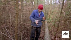 Hevosen kanssa metsätöissä: 21.01.2021 18.30