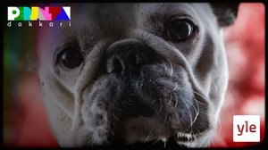 Rakkaudesta ruttunaamoihin: 22.01.2021 21.30