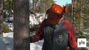 Norjalaisia tarinoita: 25.01.2021 06.00