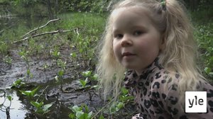 Luontotutkija Helmi: 27.01.2021 10.00