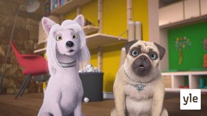 Lahjapaketti (7): 26.01.2021 10.00