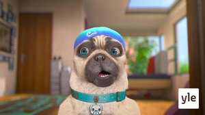 Kuonoa kutittava kukka (7): 26.01.2021 10.00