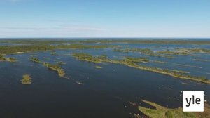 Merenkurkun saaristo: 28.01.2021 00.01