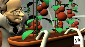 Tappajatomaatit (S): 01.02.2021 01.30