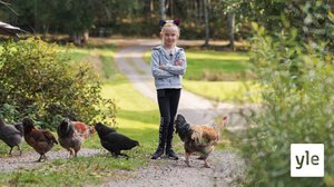 Kananpojat: 01.02.2021 06.00