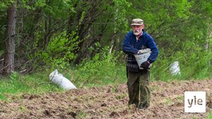 Sitä kylvää mitä niittää: 31.01.2021 00.01