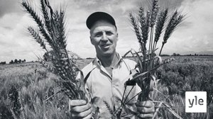 Historia: Suurten satojen mies: 01.02.2021 06.00
