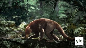 Prisma: Nisäkkäiden nousu: 01.02.2021 06.00