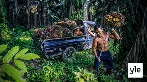 Ovatko biopolttoaineet ekologisesti kestäviä?: 03.02.2021 21.45