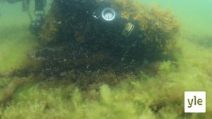 Itämeri pintaa syvemmältä: 08.02.2021 00.01