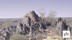 Afrikan erikoiset puut: 06.02.2021 10.00