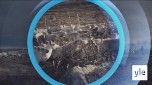 Oddasat: 04.02.2021 22.00