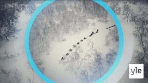 Oddasat: 05.02.2021 22.00