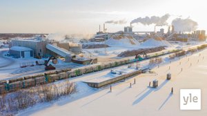 Nyt se varmistui: 1,6 miljardin euron jättisellutehtaan rakentaminen alkaa Kemissä (S): 11.02.2021 17.23