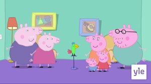 Polli Papukaija (S): 13.02.2021 07.17