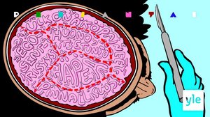 Mihin tarvitsemme kauneusleikkauksia?: 12.02.2021 21.05