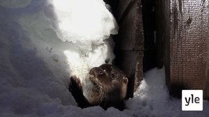 Mökkireissu (S): 18.02.2021 06.00