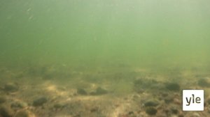 Itämeri pintaa syvemmältä: 22.02.2021 00.01