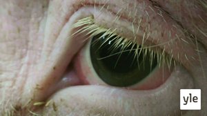 Kadonnut sika: 01.03.2021 00.01