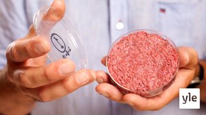 Tulevaisuuden naudanlihapihvi kasvaa navetan sijaan laboratoriomaljassa: 04.03.2021 11.10