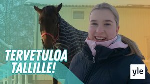 10 syytä miksi ratsastan: 08.03.2021 15.00