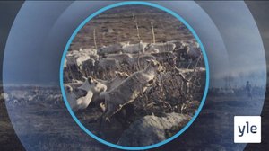 Oddasat: 09.03.2021 22.00