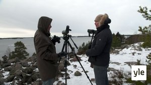 Juhat luonnossa: Kevät on sää- ja mielentila: 10.03.2021 09.41