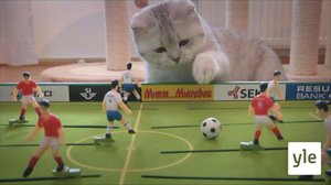 Vueʹss 1: Inkeri-kaass (S): 12.03.2021 00.00