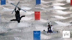 Freestylen MC: Almaty, parikumpareet: 14.03.2021 10.40