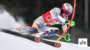 Alppihiihdon MC: Kranjska Gora, miesten pujottelun 2. lasku: 14.03.2021 14.40