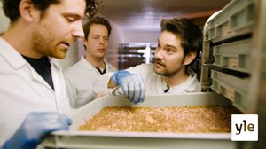 Voiko tätä syödä: Eroon hyönteiskammosta!: 17.03.2021 10.14