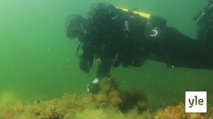 Itämeri pintaa syvemmältä: 22.03.2021 00.01