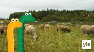 Traktori (S): 22.03.2021 00.01