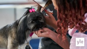 Fiineistä fiinein: 23.03.2021 00.01