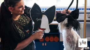 Bieber-huumaa ja Charlien enkeleitä: 23.03.2021 00.01