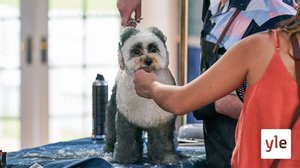 Eläimellistä menoa: 23.03.2021 00.01