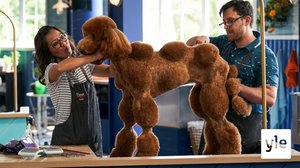 Tähtiä, sydämiä ja luurankoja: 23.03.2021 00.01