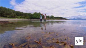 Rantavyöhykkeen elämää: 26.03.2021 06.00