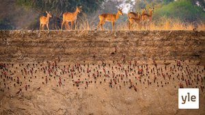 Weather: 03.04.2021 06.00