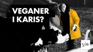 Är kött alltid dåligt för klimatet? (S): 31.03.2021 06.00