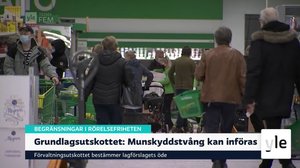 Yle Nyheter TV-nytt: 31.03.2021 17.59